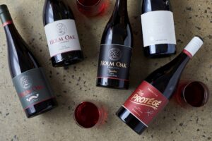 Selection of Pinot Noir bottles in flat lay on concrete