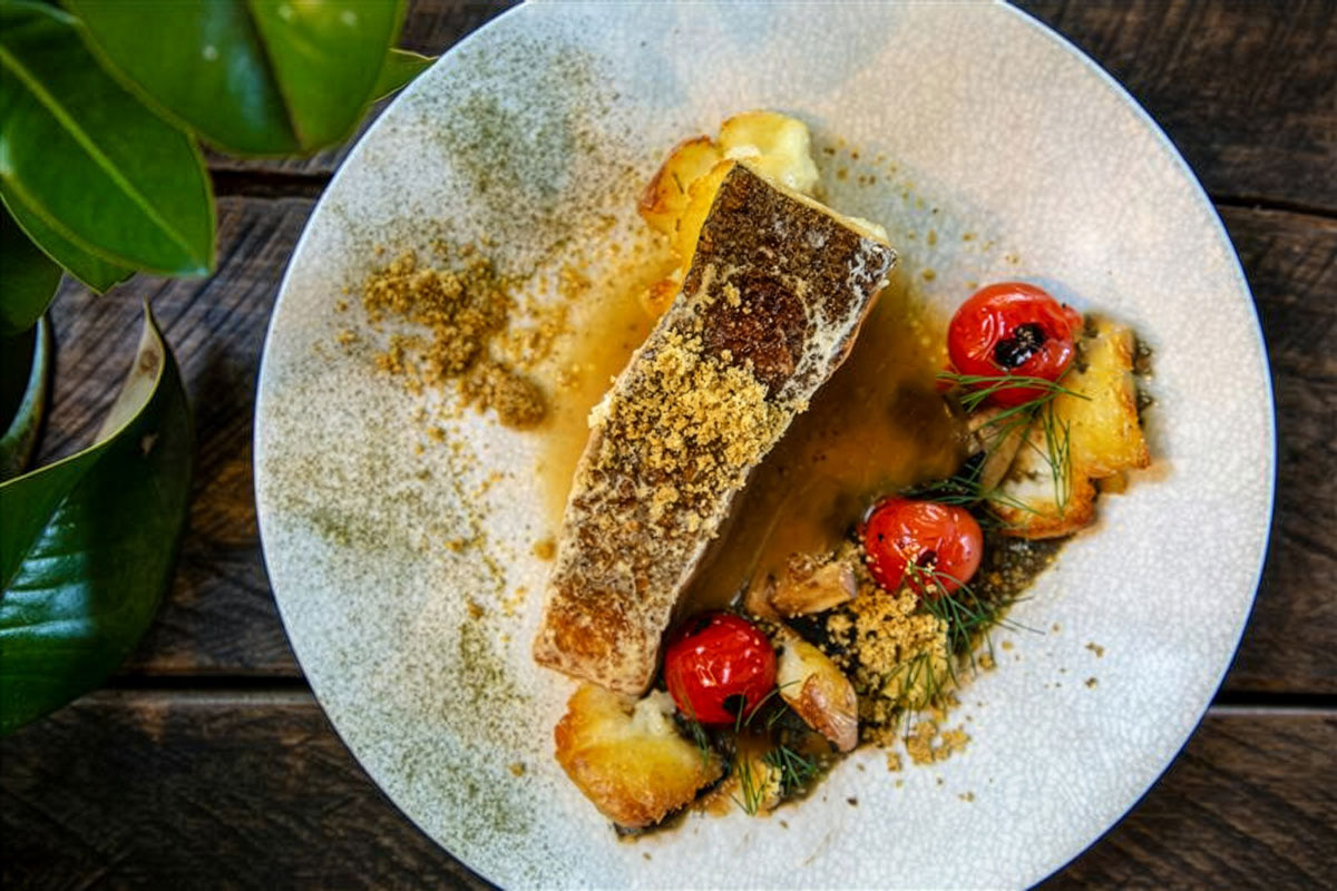 Crumbed blue-eyed trevalla dish