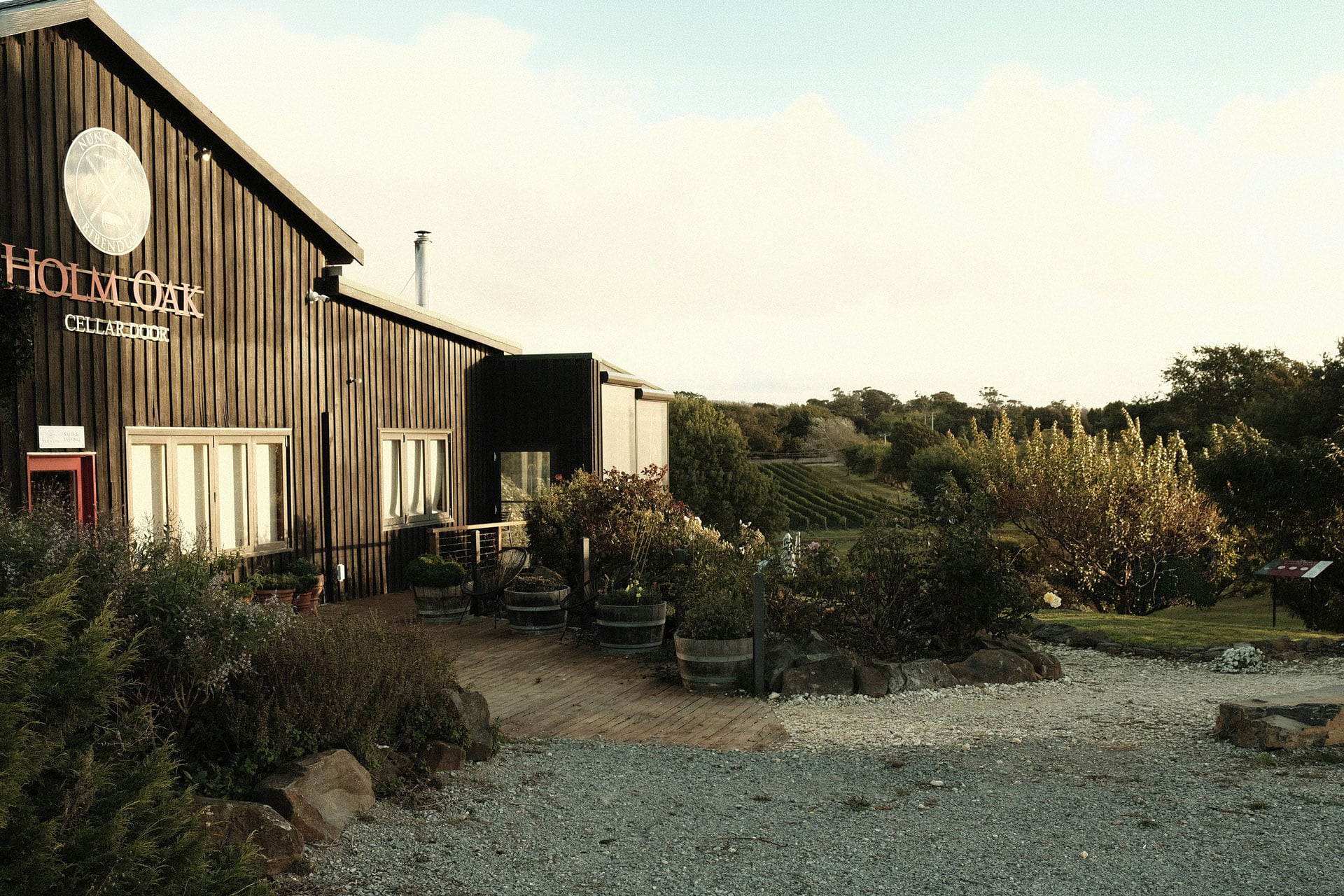 Holm Oak cellar door